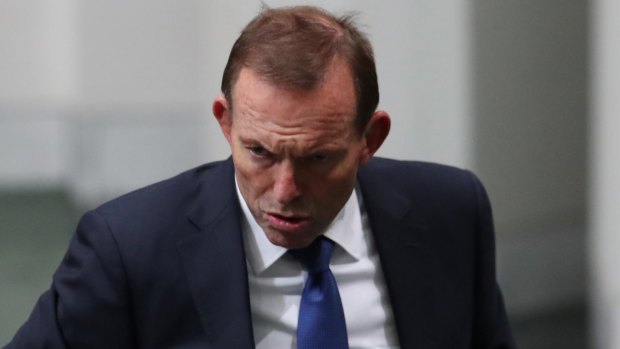 Former prime minister Tony Abbott has Malcolm Turnbull in a difficult position.
