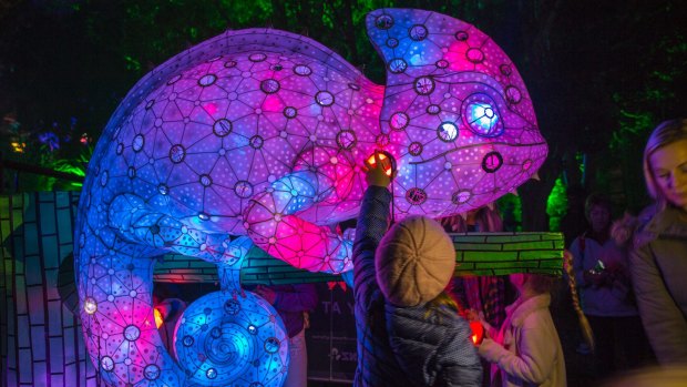 The Enlighten festival, set to face a big venue hire fee from the National Capital Authority.