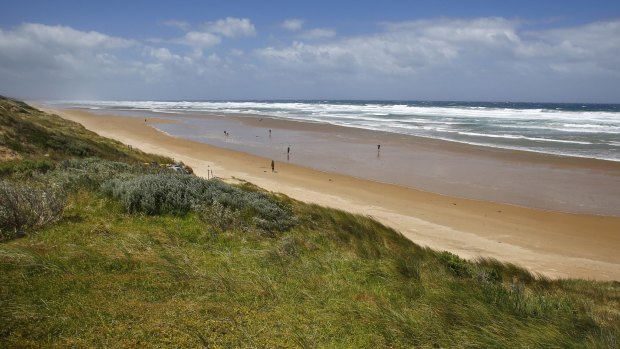 A study commissioned by Venus Bay residents found recreational harvesting of pipis was having a substantial impact on the beach.