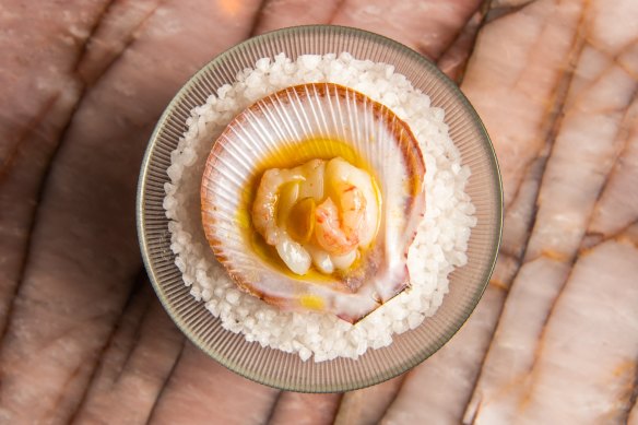 Lana's raw scallop with kumquat from the tasting menu. 