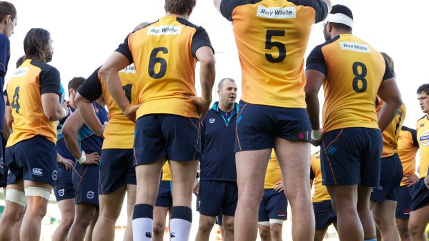 Under pressure: Waratahs coach Michael Cheika with his squad at training on Tuesday.