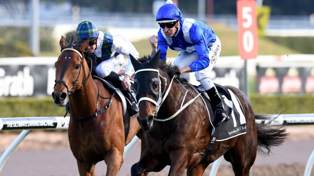 Perfect timing: Winx finishes over the top of rivals at Randwick.