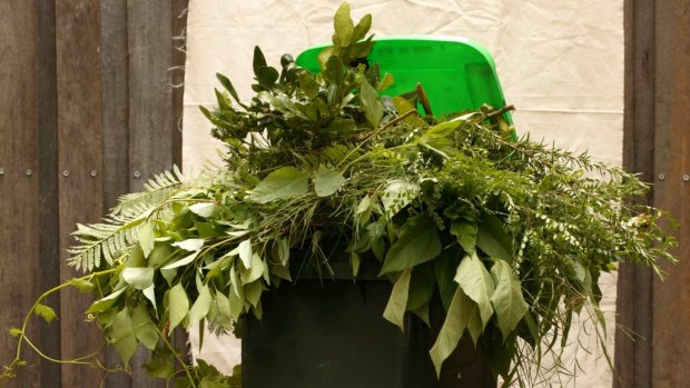 More than 8000 homes in Weston Creek and Kambah now have a green bin with Tuggeranong residents the next to receive them.
