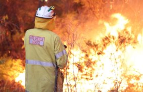 The Northcliffe Fire has burnt through more than 80,000 hectares.

Credit: Department of Fire and Emergency Services