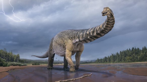 What Australotitan cooperensis, 'Cooper', the Southern Titan, may have looked like.