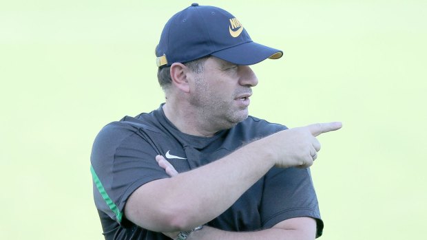 Pointing in the right direction: Ange Postecoglou.