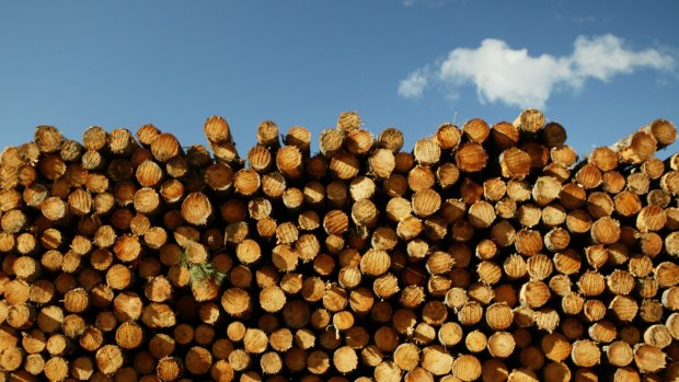 A lack of wood is putting 160 jobs at risk.