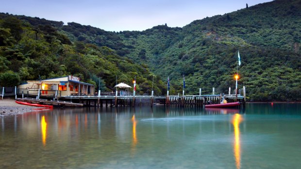 Punga Cove is nestled on the Queen Charlotte Track, Marlborough Sounds, South Island, New Zealand.