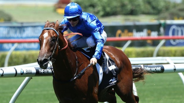 Not your normal progression: Haptic fell into Godolphin's hands through a repossession.