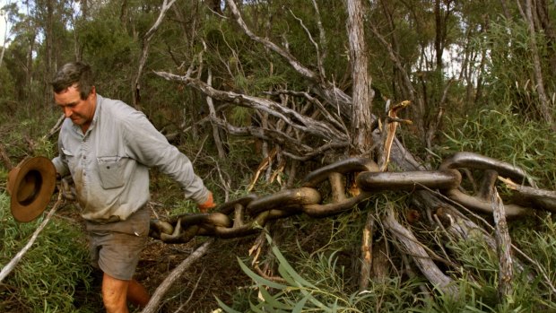 The failure to pass its vegetation management laws is the Palaszczuk government's first legislative setback since it won office.