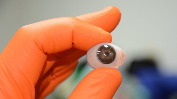 A prosthetic eye found on Queensland's trains.