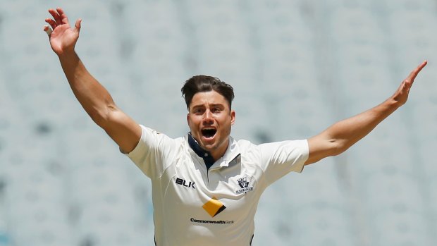 Marcus Stoinis believes the current pay dispute won't be a distraction at the Champions Trophy.