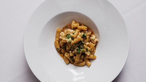 Maccheroncini pasta with lobster. 