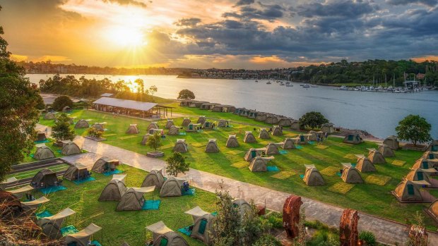 Cockatoo Island campground on the Northern Apron after development.