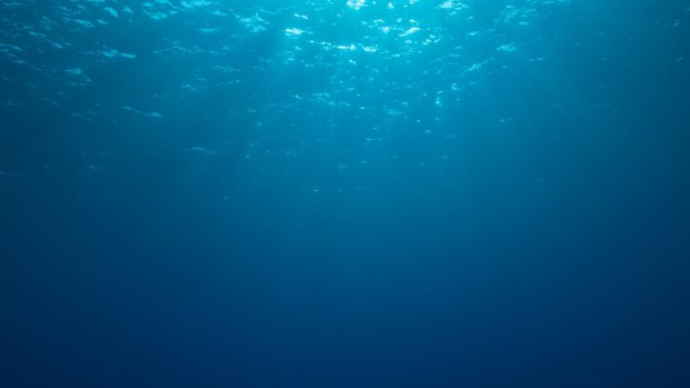 The amount of oxygen in oceans around the world has declined, German research shows.