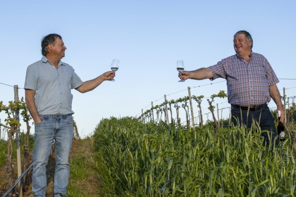 Barossa-based Michael and Graeme Fechner have the only kerner vineyard in Australia.