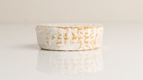 Grounded Foods' cauliflower camembert.