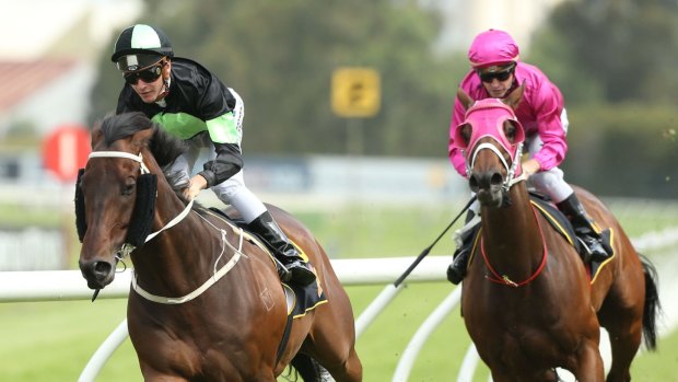 Easy win: Sam Clipperton and Gamblestown romp home at Rosehill.
