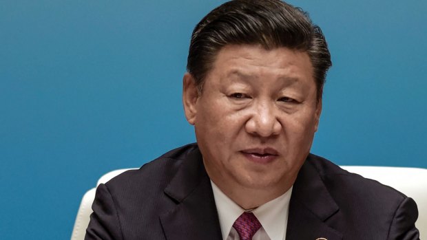 Muted response: Chinese President Xi Jinping 