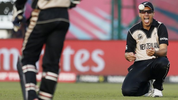 Prepared: Ross Taylor reacts in the field during the win over Australia.
