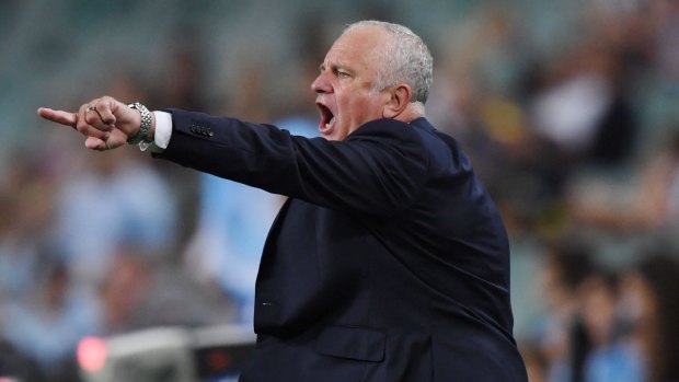 Local knowledge: Graham Arnold appears to be an option to take on the Socceroos top job for the longer term