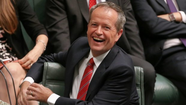 Opposition Leader Bill Shorten in Question Time this week.