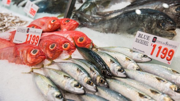 Blue mackerel and red barbounias at the Sydney Fish Market. 