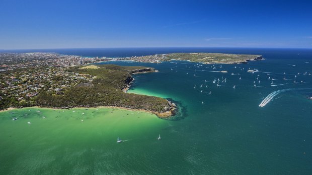 Manly Scenic Walkway's silver-and-blue harbour panoramas and honey-coloured cliffs remind you how beautiful Sydney can be.