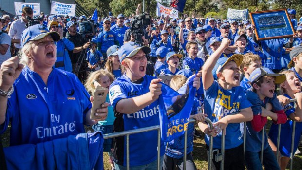 True blue: Western Force supporters rally for the cause last month.