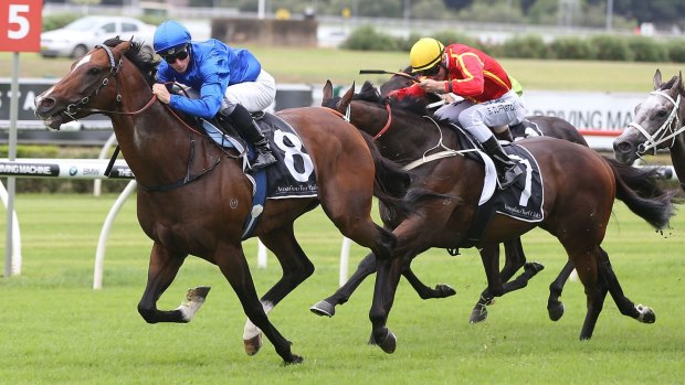 Top shelf: James McDonlad and Contributer salute in the Apollo Stakes at Randwick.