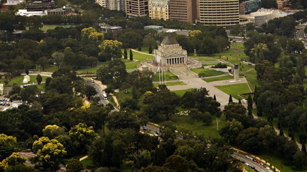 The trees on St Kilda Road near the Shrine of Remembrance could be cut down.