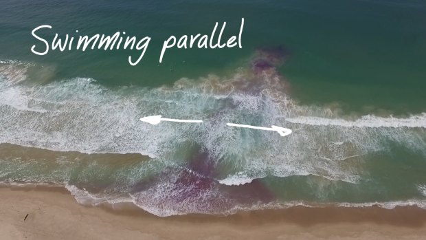 An image from the Jason Markland documentary on rip currents shows the approach of swimming parallel to the shore.
