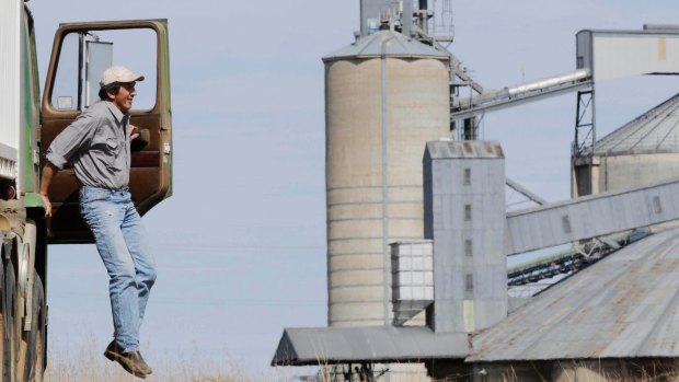 Grain surplus set to be prolong. Photo Paul Mathews