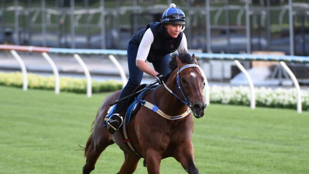 One last chance at spring glory: Under The Louvre will start in the Heffernan Stakes.