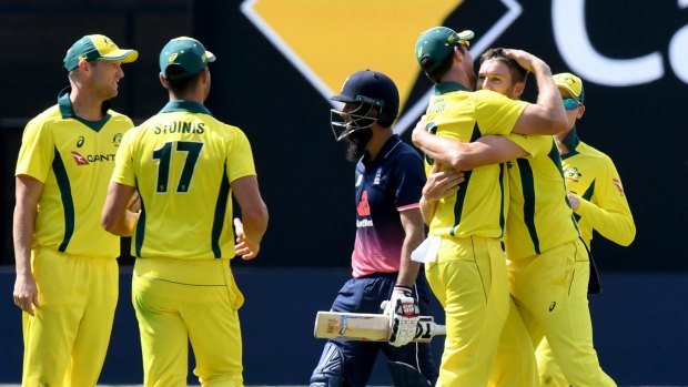 In the wickets: Australian players celebrate after Andrew Tye took the wicket of Moeen Ali.