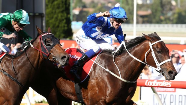 The greatness: Hugh Bowman punches the air as Winx wins her third Cox Plate.