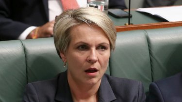 Labor's foreign affairs spokeswoman Tanya Plibersek says there are question marks over Australia's response to the 2014 Ebola breakout in west Africa.