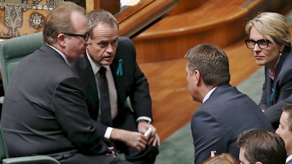 David Feeney, a close ally of Opposition Leader Bill Shorten, could be dumped by Labor if a byelection is needed.