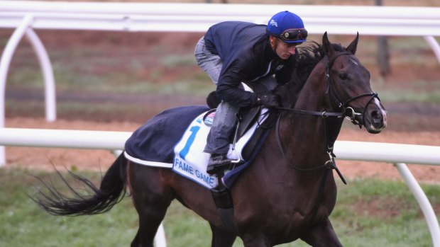 Quizzed: Zac Purton and Fame Game were in the spotlight on Caulfield Cup day.