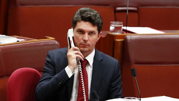 Scott Ludlam resigned from the Senate in July.