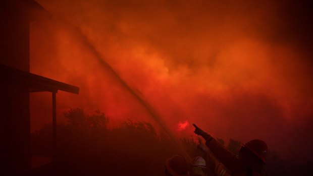 NSW Rural Fire Service defend a property near Wentworth Falls earlier this month. Critics say a tree removal scheme for bushfire-prone areas is being abused by homeowners.