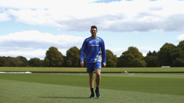 Ready to roll: James Pattinson warms up during a nets session at Hagley Oval in Christchurch.