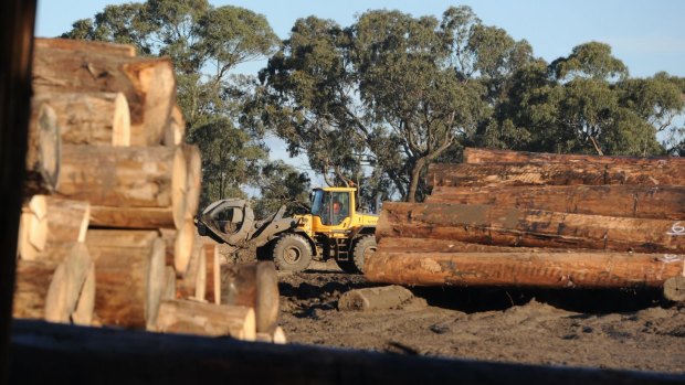 Australian Sustainable Hardwoods is facing closure in Heyfield.