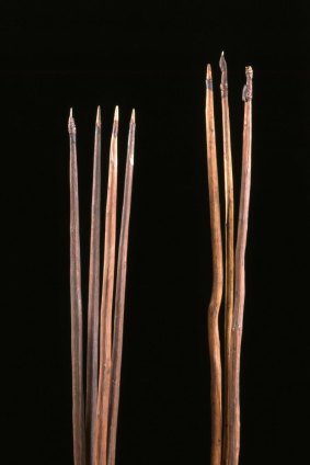 Spears collected at Botany Bay in April, 1770.