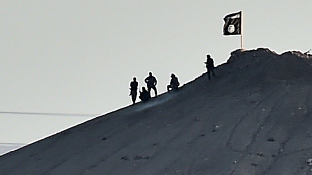 Strategic: Islamic State militants stand atop a hill in the Syrian town of Kobane.