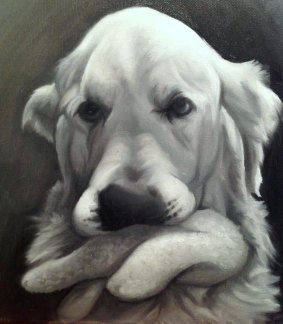 Mr Gallagher's first oil painting of Ozzie, his golden retriever.