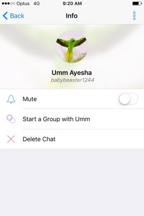 Zaynab's Kik profile, recently changed to Umm Ayesha (mother of Ayesha) and a green bird, which is a common symbol used for martyrs. 