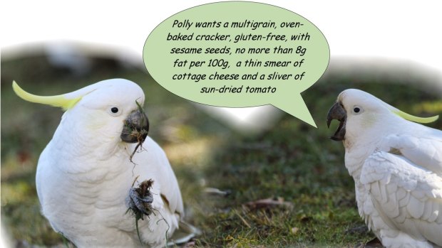 This demanding, sophisticated young Canberra cockatoo knows which side his cracker's seeded on.