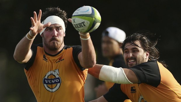 Bound for the World Cup?: Former Waratahs back-rower Kane Douglas.
