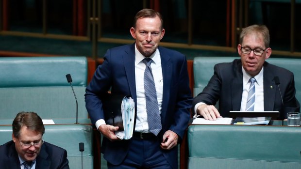Tony Abbott has predicted more chaos in Parliament over the citizenship fiasco.